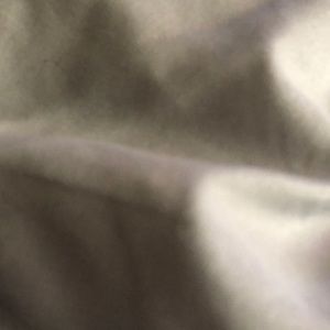 Meet your Posher, Leontai